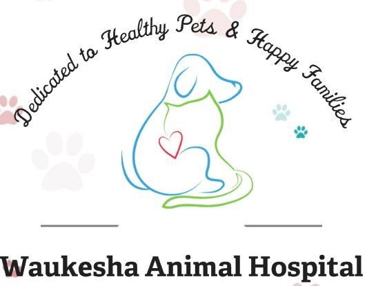 Waukesha Animal Hospital Waukesha Wisconsin